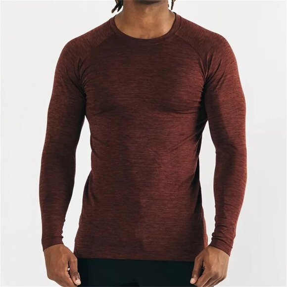 Alphalete Hero Seamless Long Sleeve in Sparrow Crew Neck Shirt - Picture 6 of 6